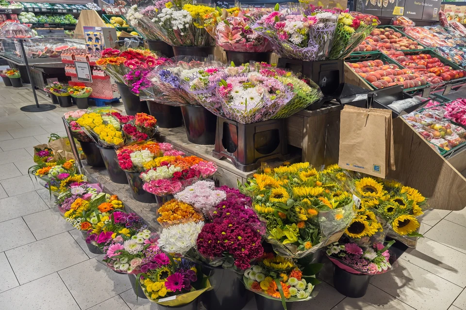 Floristik mit Topfpflanzen und Blumen